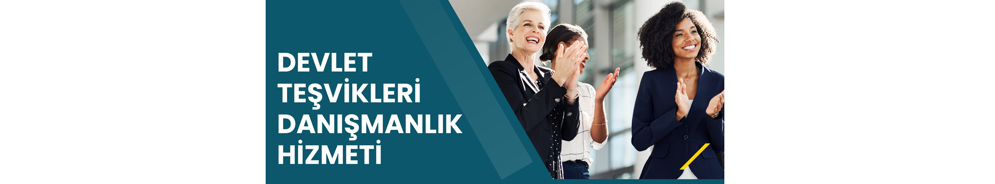 Devlet Te�vikleri Dan��manl���