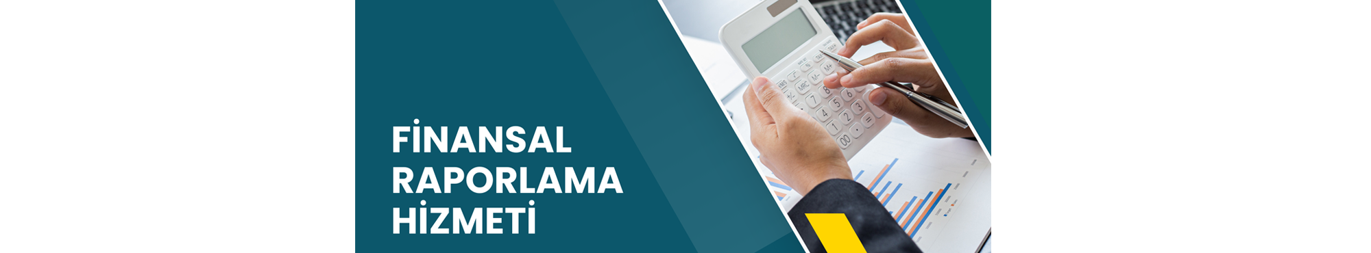Finansal Raporlama Hizmeti